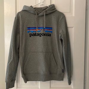 Patagonia mens size small gray hoodie.